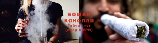 дурь Елабуга