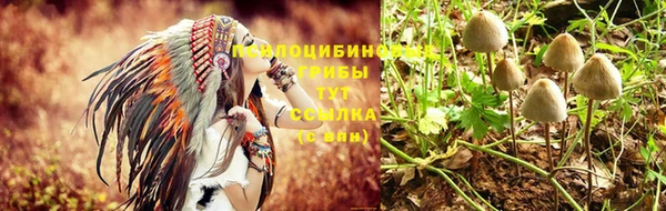 дурь Елабуга
