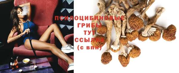 дурь Елабуга