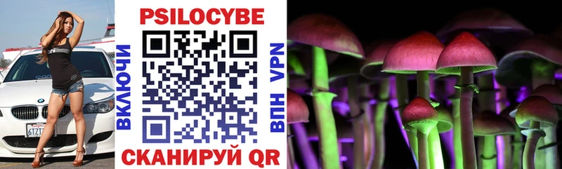 Купить закладки  Татарск  Галлюциногенные грибы Cubensis 