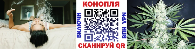 Бошки Шишки MAZAR  Купить где  Татарск 